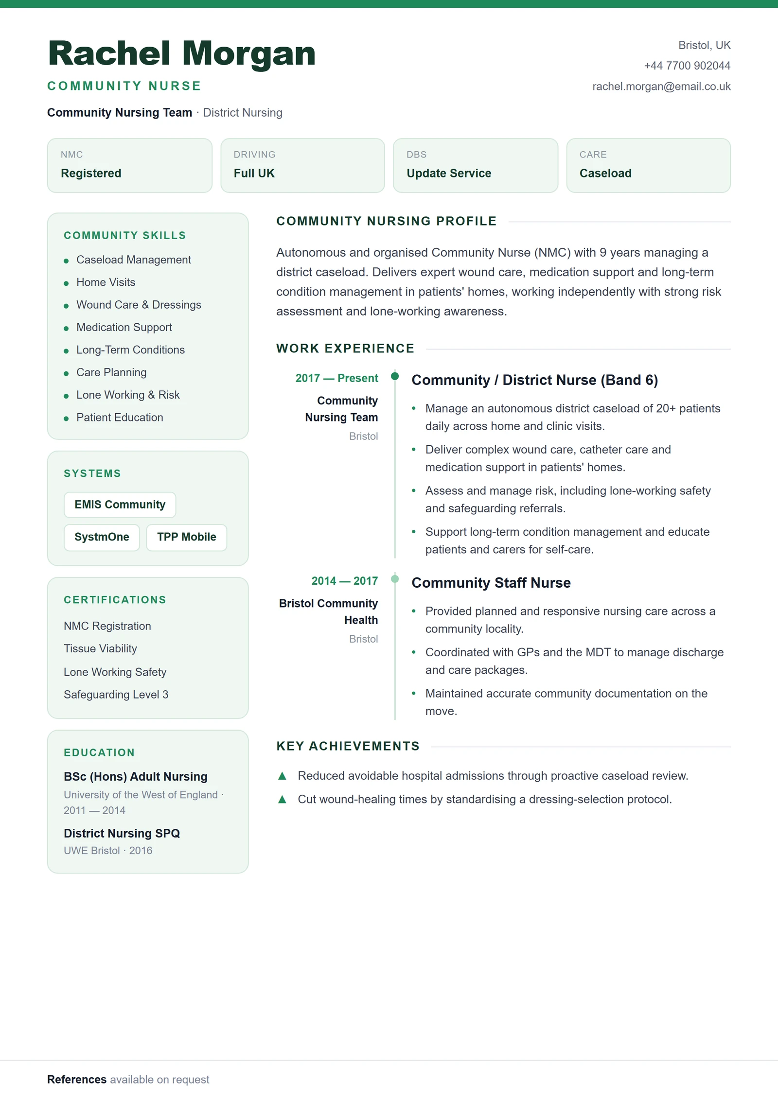 Community / District Nurse CV résumé template preview