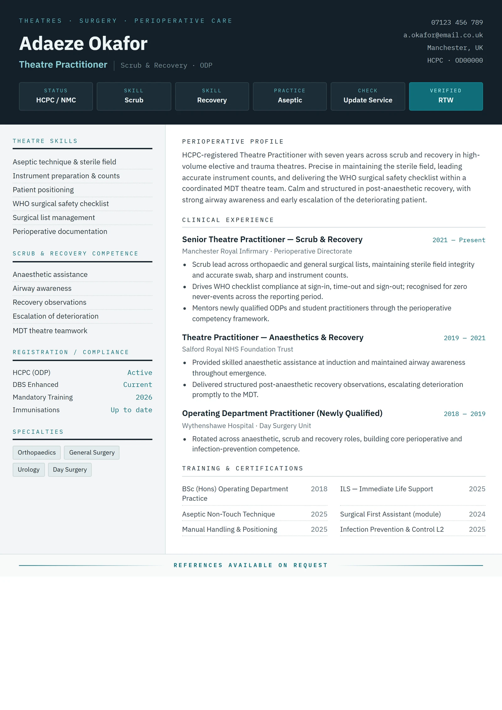 Theatre Practitioner CV résumé template preview