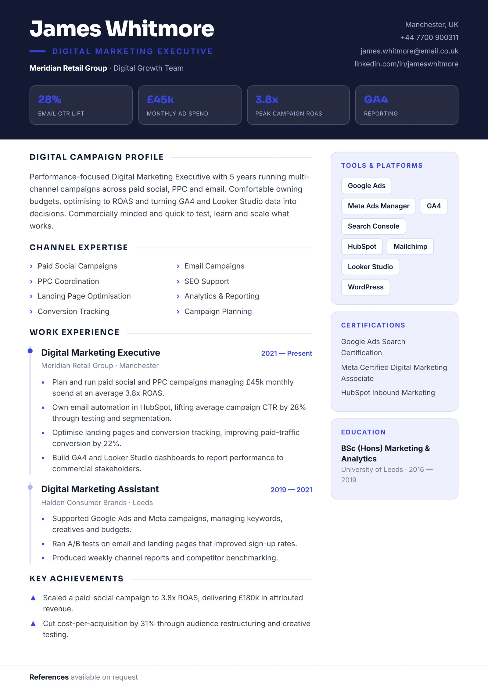 Digital Marketing Executive CV résumé template preview